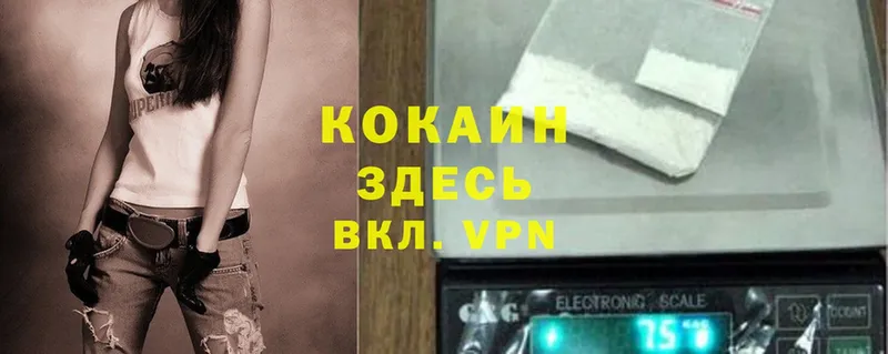 COCAIN FishScale  МЕГА зеркало  Кингисепп 